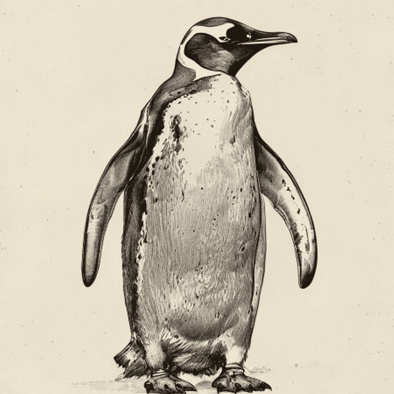 Engraving of a Penguin